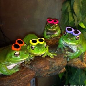 Meet your Posher, Annie